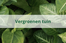 Je tuin verduurzamen met gemeentesubsidie